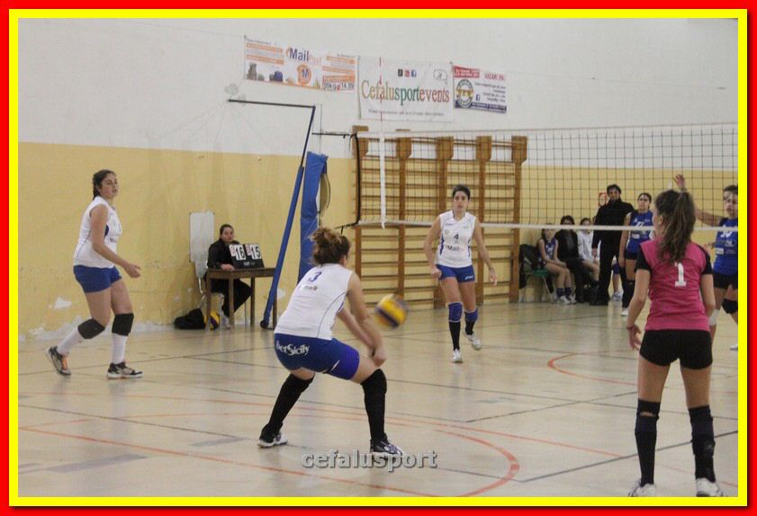 140305 Primula 110_tn.jpg